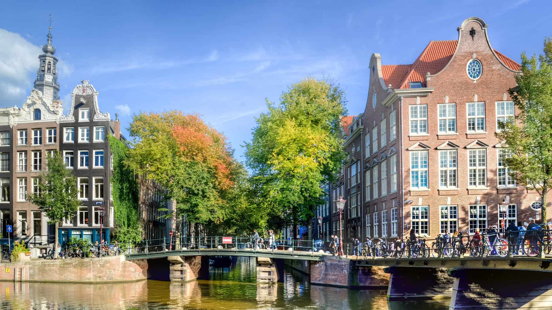 3 варианта, как переехать и построить карьеру в Нидерландах
