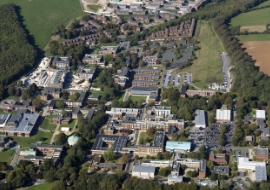 University of Sussex